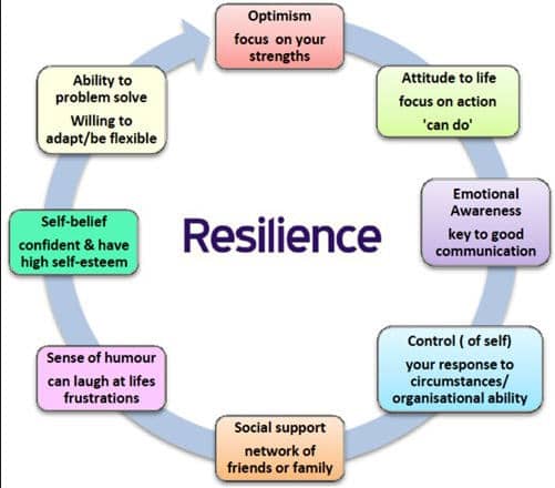 Resilient Cultures by Kicza, John - Essay Example