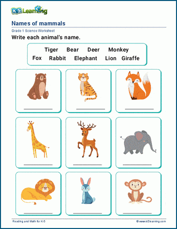 Animal names worksheet