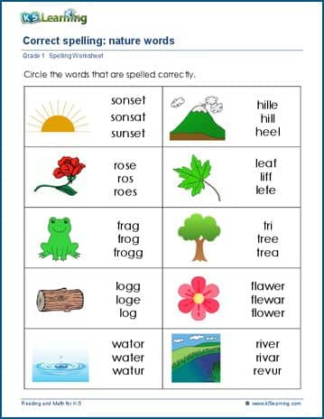 Grade 1 spelling worksheet identify the correct word