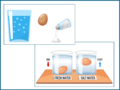 Floating egg experiment