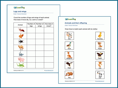 Grade 1 animals worksheets