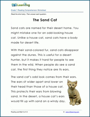 The sand cat grade 1 story