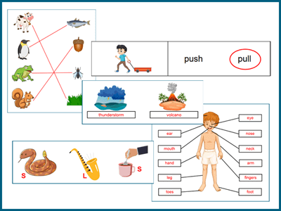 Grade 1 science worksheets