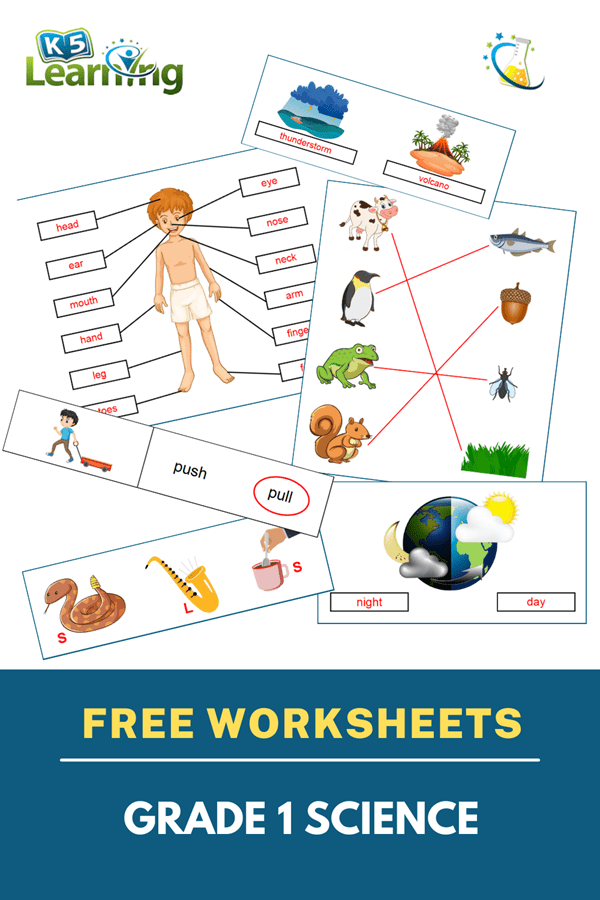 Science worksheets for grade 1 students | K5 Learning