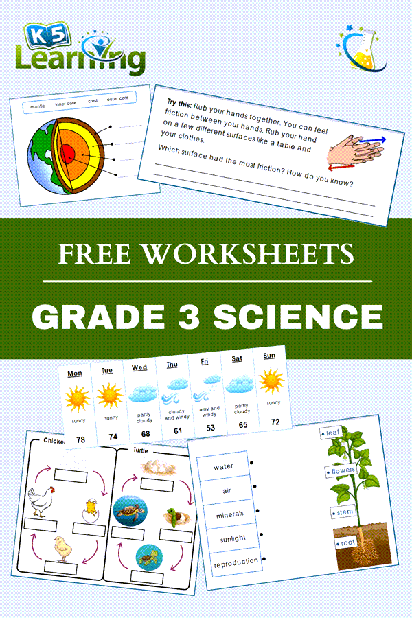 worksheet grade 3 science
