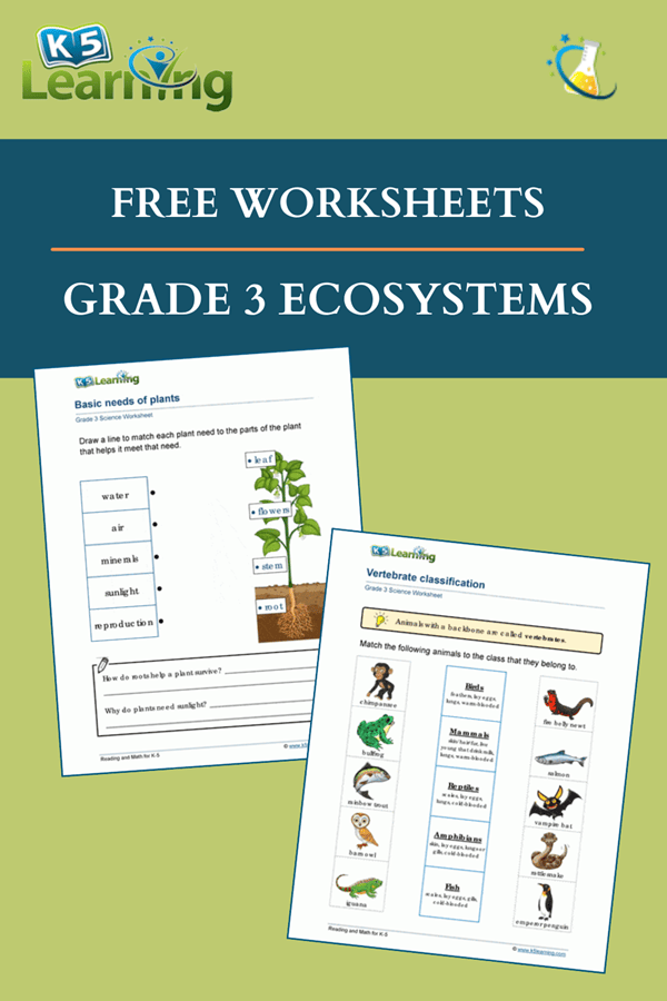 ecosystem worksheets 3rd grade pdf