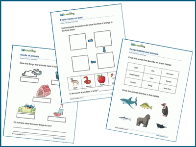 Animal worksheets for grade 2 students