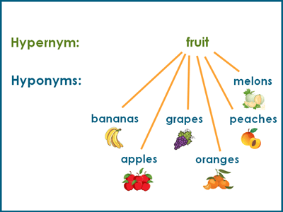 Hypernyms and hyponyms explained