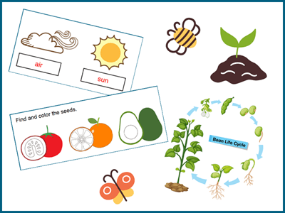 Spring plant activity and worksheets