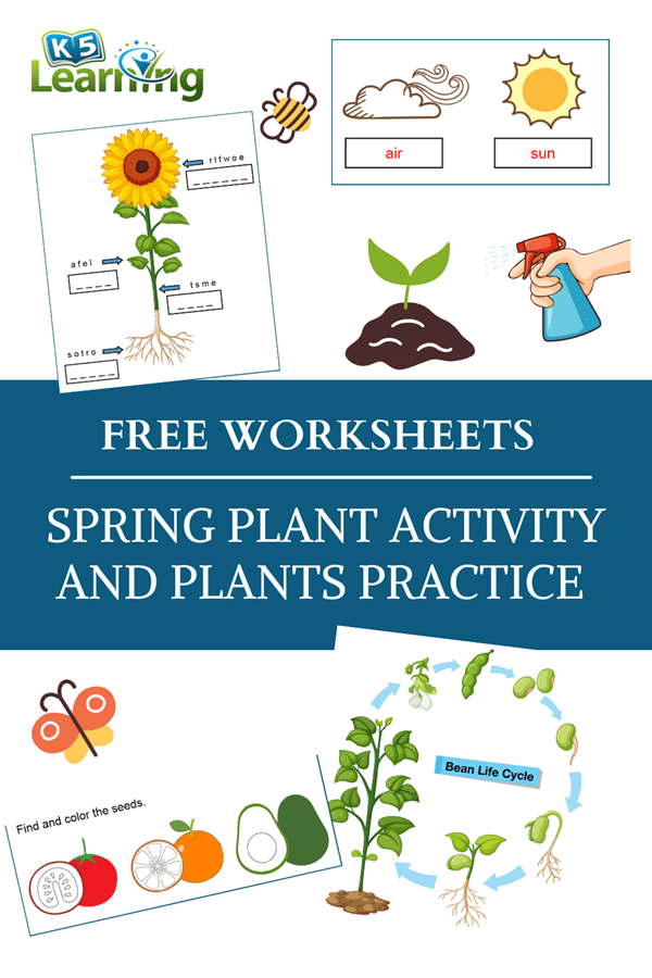 Spring plant activity and worksheets | K5 Learning