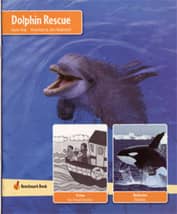Dolphin Rescue