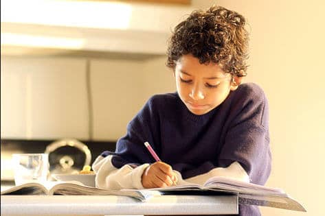 Boy studying