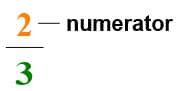 fractions numerator