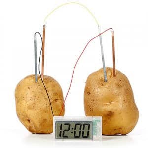 potato battery