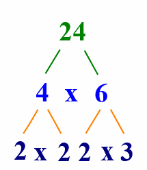 prime factors 3