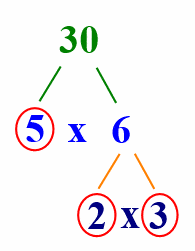 prime factors 5