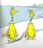 Sneetches