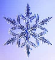 snowflake