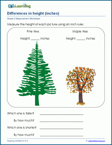 Grade 2 Measurement Worksheet on differences in length