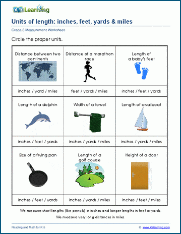 Grade 3 Measurement Worksheet on Units of Length