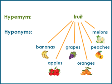 Illustrating the relationship between hypernym and hyponyms