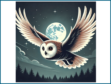 Nocturnal animals: owls
