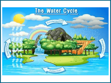 The water cycle