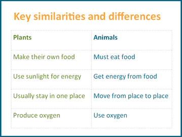 Plant vs animal needs