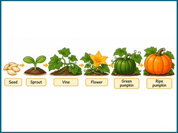 Pumpkin science activities