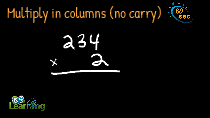 Multiply in columns (no carry)