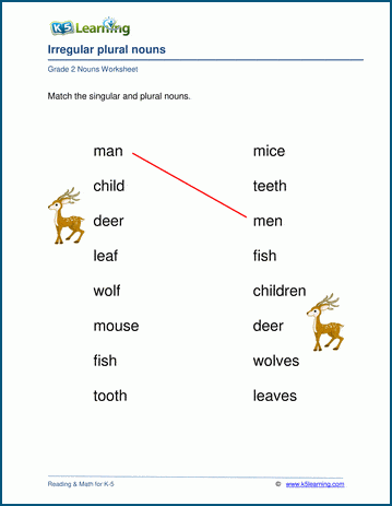 Grade 2 grammar worksheet on irregular nouns