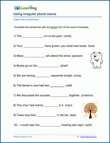 Grade 2 grammar worksheet on irregular plural nouns