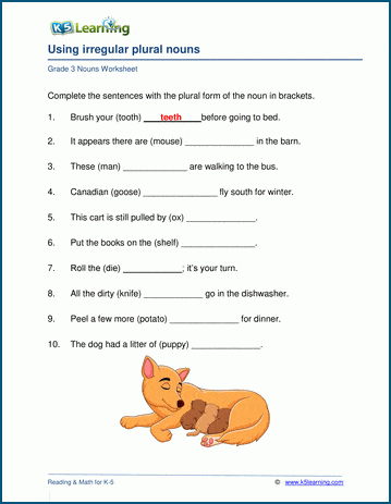 Grade 3 grammar worksheet on irregular nouns