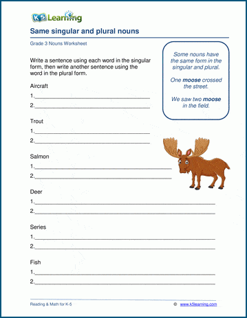 Grade 3 grammar worksheet on nouns with the same singular and plural form
