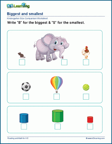 Modèle Big Small Size Worksheet for Kindergarten