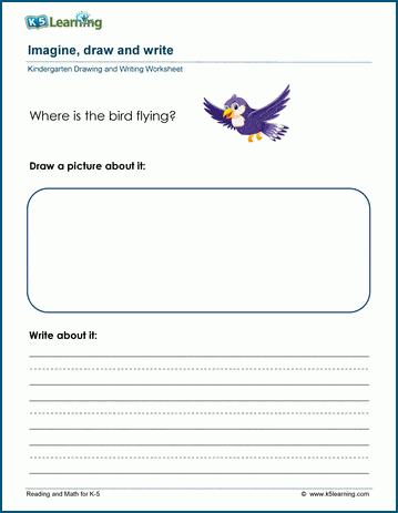Where is the bird flying?  - Draw & Write Worksheet