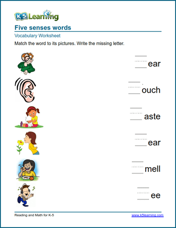 Kindergarten Practice Five Senses Worksheet