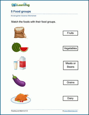 Five food groups worksheet for kindergarten