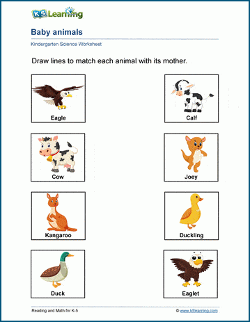 Baby animals worksheets | K5 Learning