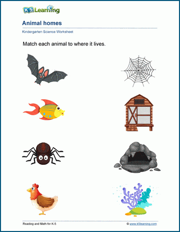 Animal homes worksheets | K5 Learning