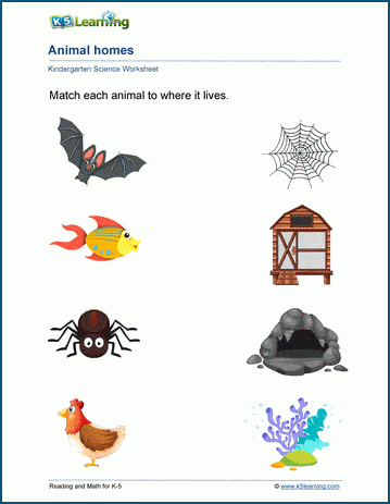 Animal homes worksheets