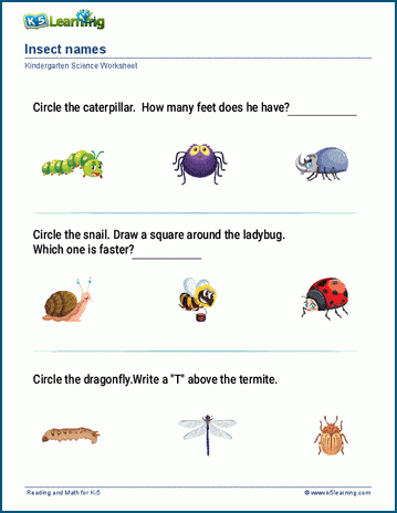 Animal names worksheets | K5 Learning