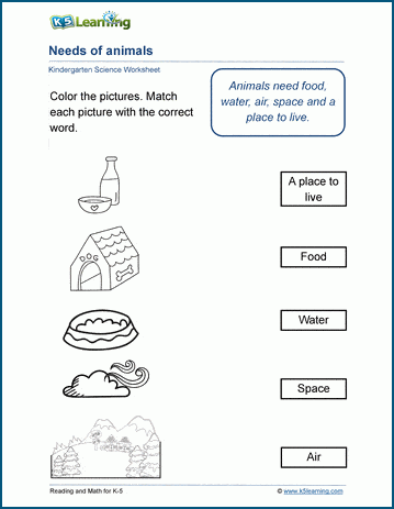 Needs of animals worksheets | K5 Learning
