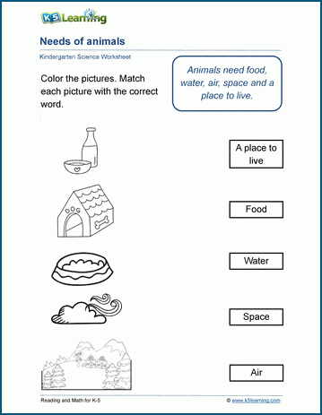 Needs of animals worksheets