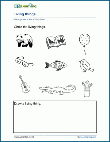 living things worksheets k5 learning