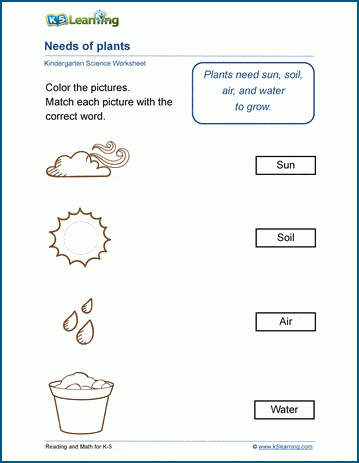 Needs of plants worksheets