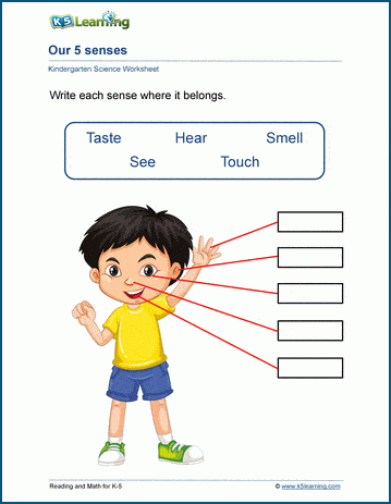 5 Senses worksheets | K5 Learning