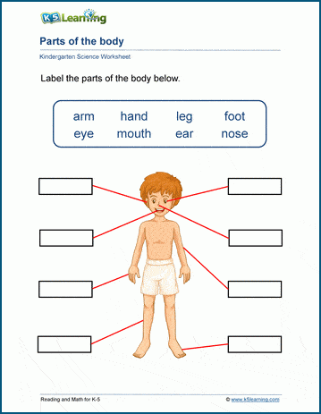 label the body parts