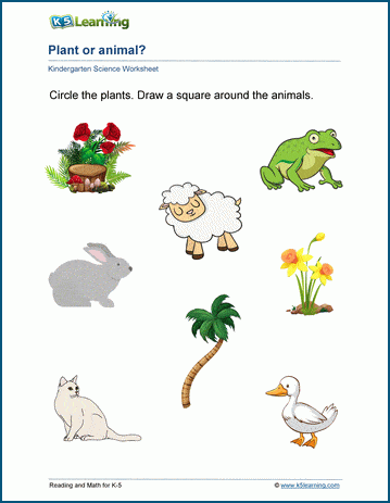Plant or animal worksheets | K5 Learning