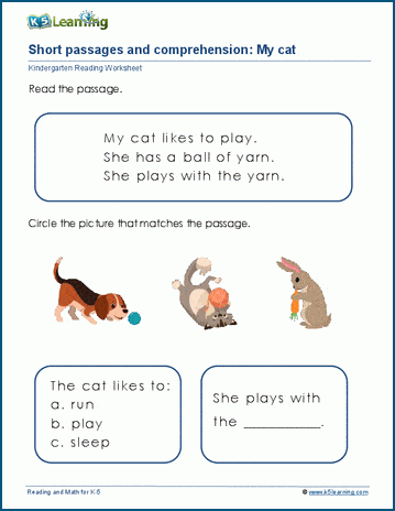 Short passages and comprehension worksheet